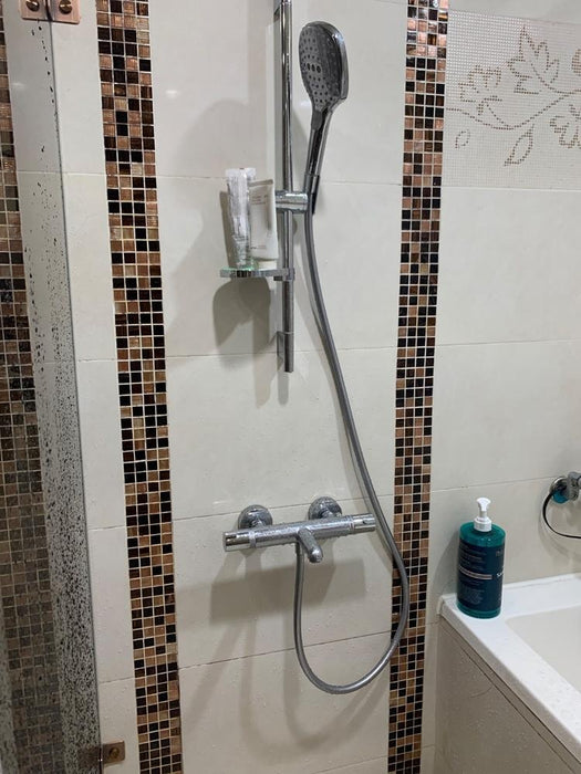 Hansgrohe 恆溫沐浴精美組｜浴杆65cm｜雙出水｜德國製