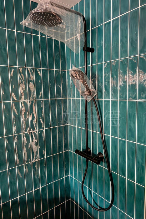 Hansgrohe Vernis Blend 200 恆溫花灑組