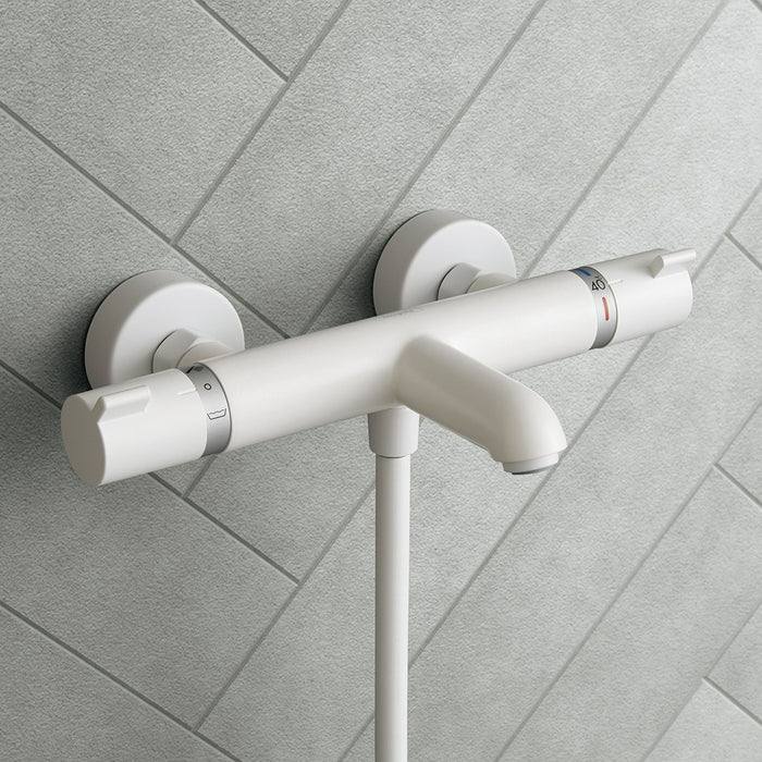 Hansgrohe Ecostat Comfort 定溫龍頭｜雙出水｜13114