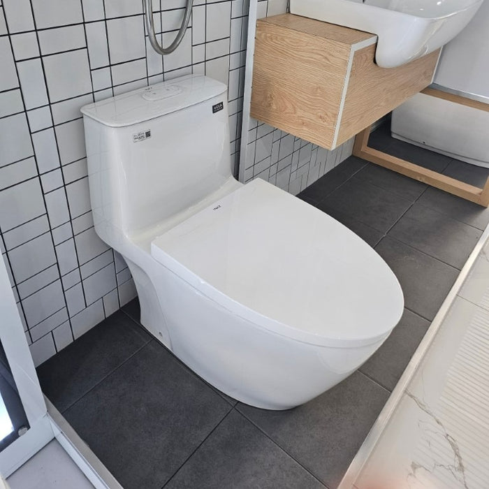 INAX 水龍捲單體馬桶｜AC-902VN-TW/BW1