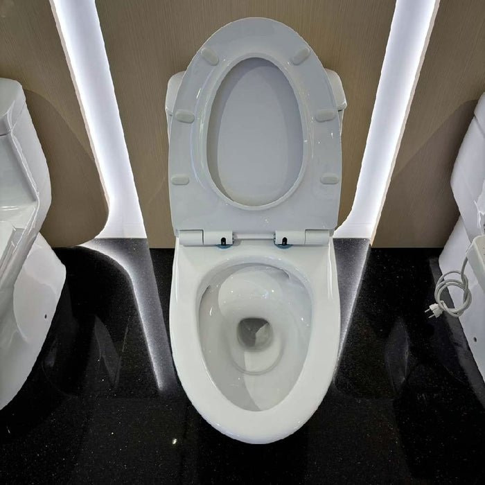 INAX 單體馬桶 AC-919VRN-TW/BW1