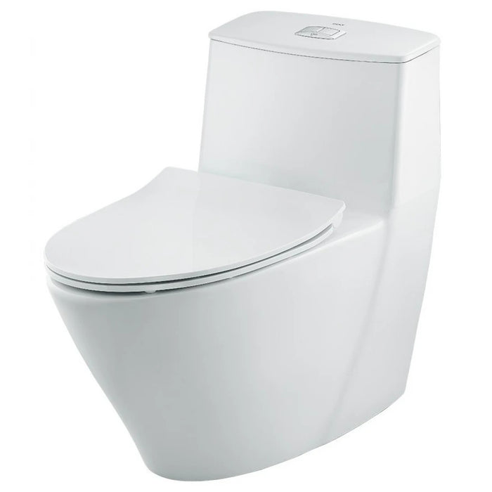 INAX 單體馬桶 AC-919VRN-TW/BW1